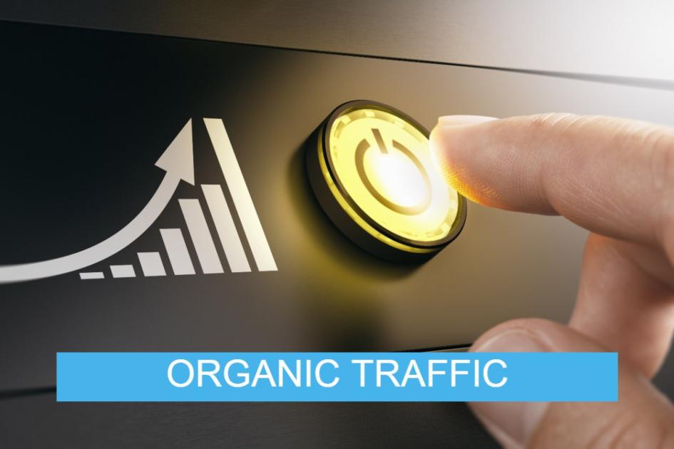 Organic Traffic: Strategi Pertumbuhan Website Efektif
